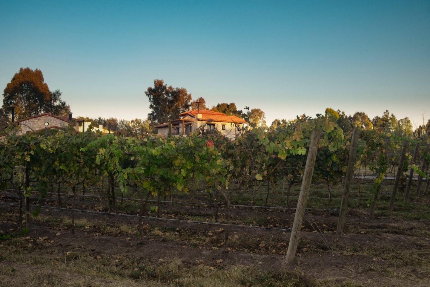 墨西哥瓜纳华托圣米格尔德阿连德的独栋别墅，Casa #8 Vinedos San Lucas，编号74515638