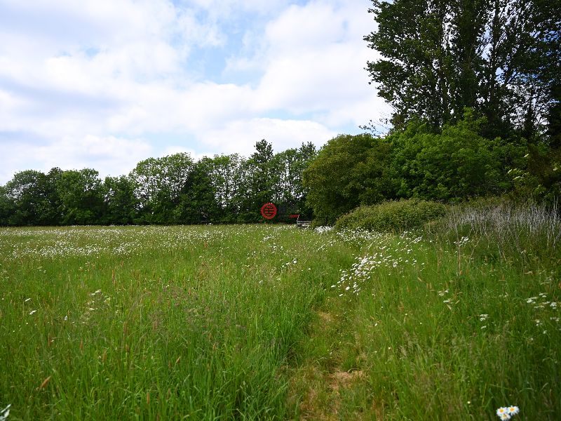 英国英格兰Stradbroke的独栋别墅，BARLEY GREEN FARM，编号78181683