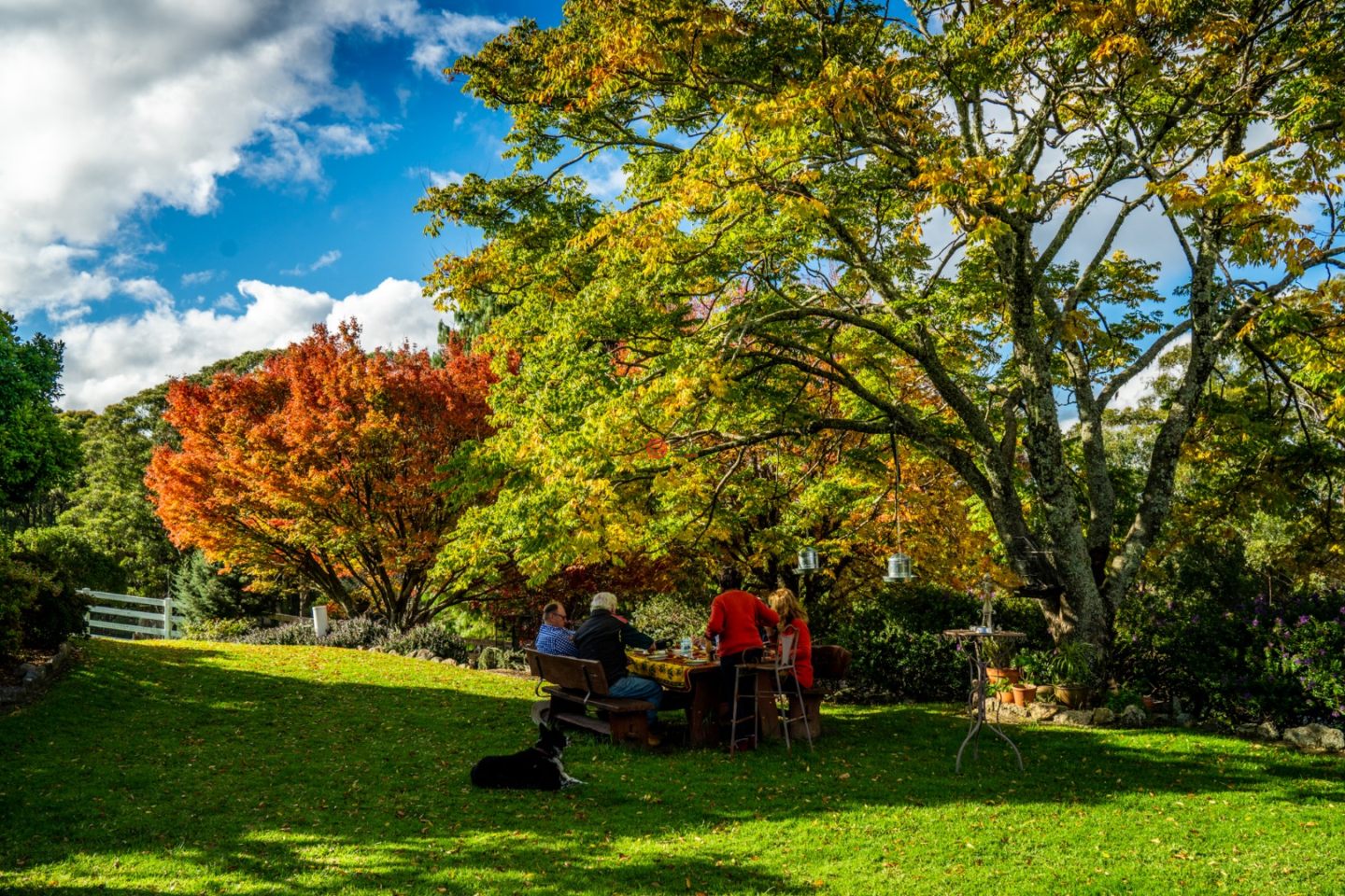 澳大利亚新南威尔士州Willsons Downfall的农场,224 Wallaroo Range Road,编号78492679