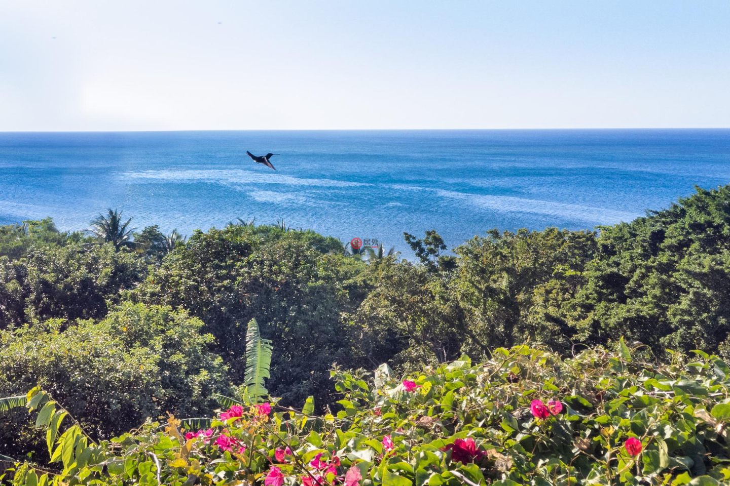 洪都拉斯海湾群岛瓜納哈島的住宅用地，Paradise Found - 482 Acres Beachfront + Waterfall Guanaja，编号77718067