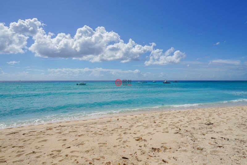 开曼群岛的公寓，208H1，编号78514613