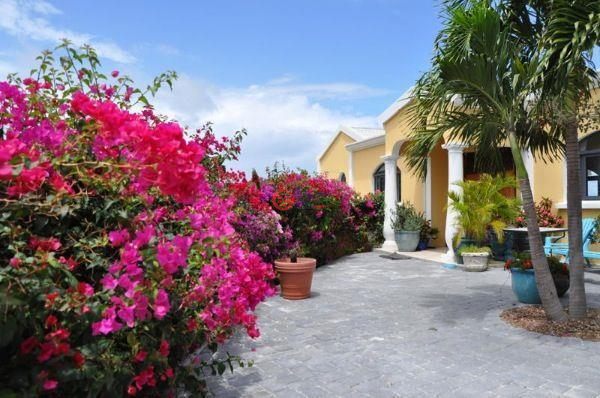 圣马丁岛Collectivity of Saint Martin的独栋别墅，编号43307387