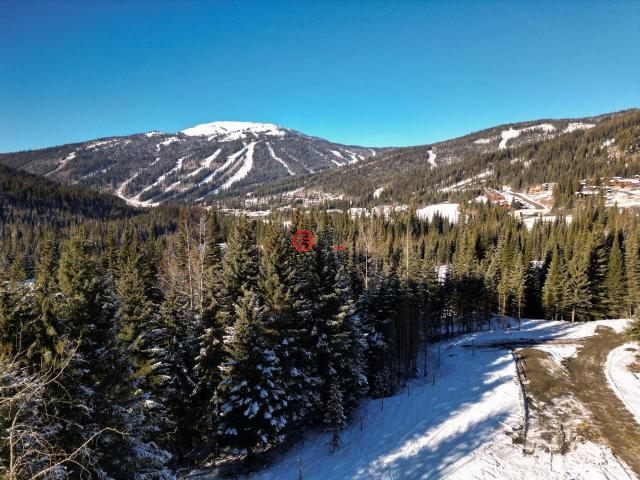 加拿大不列颠哥伦比亚省Sun Peaks的公寓,LOT 7 MCGILLIVRAY LAKE,编号75520857