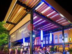 新加坡中星加坡的商业转让，Orchard Road Main shopping District，编号59211065