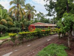 尼加拉瓜Masaya DepartmentMasaya的农场，Chicken Farm, Masatepe，编号71109579