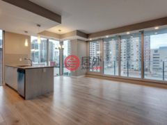 加拿大阿尔伯塔埃德蒙顿的公寓，10180 103 ST NW，编号71359223