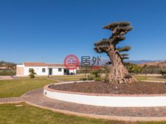 西班牙安达卢西亚马拉加的独栋别墅，Playa del embajador s/n，编号67906115