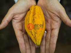 尼加拉瓜Masaya DepartmentMasaya的住宅用地，Finca de Frutas Niquinomo，编号71148301