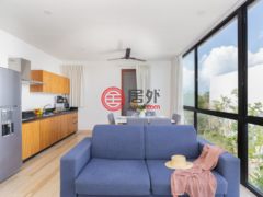 墨西哥金塔纳罗奥图卢姆的公寓，Kaan Street，编号71202971