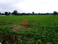 美国密歇根州萨吉诺的住宅用地，None TBD Garfield Road，编号78451010
