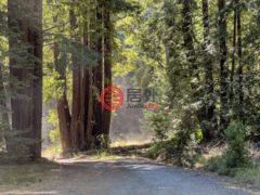 美国加州The Sea Ranch的住宅用地，42180 Deer Trail，编号70037549
