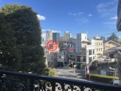 日本TokyoMinato的公寓，编号78100499