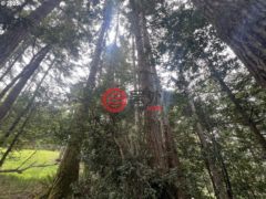美国俄勒冈州North Bend的住宅用地，None 94253 MISTY RIDGE LN，编号78361531