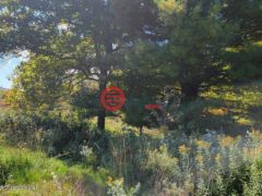 美国宾夕法尼亚州法克特瑞维尔的住宅用地，None 65 Clinton Drive，编号78275145