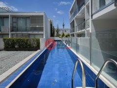 新西兰AucklandAuckland的公寓，编号29446768