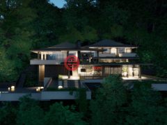 荷兰加勒比区Saba的独栋别墅，Haiku Inspired Extraordinary Villa，编号71601180