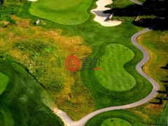 美国密歇根州Centreville的公寓，61809 Stonegate Island Hills GC Drive，编号77636602