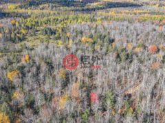 美国威斯康星州菲尔普斯的住宅用地，None Off HAWK SOUP LN，编号77773574