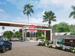 牙买加圣安妮拉納韋貝的独栋别墅，Villa 22 Palm Beach，编号77810270