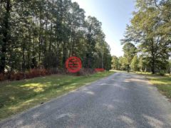 美国阿拉巴马州奥哈治的住宅用地，ROCK SPRINGS ROAD，编号75281099