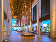 巴哈马天堂岛的公寓，Reef 12-921 One Casino Drive，编号78467801