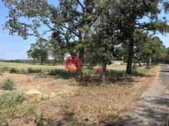 美国德克萨斯州Troup的农业用地，3.35 ACRES tbd County Road 2169，编号76835736