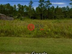 美国密西西比州Saucier的农业用地，E Ridge Drive，编号78491981