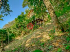 洪都拉斯海湾群岛Roatán的住宅用地，Beautiful West Bay Lot of 0.45 Acres with Ocean Views，编号77263658
