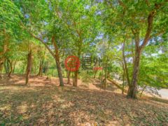 洪都拉斯海湾群岛Roatán的住宅用地，Lot 35 in the Prestigious Lawson Rock，编号76794716