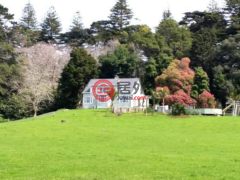 新西兰Auckland的农场，编号29901291