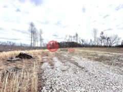 美国肯塔基州Salt Lick的农业用地，None 1105 Pendleton Branch Road，编号77444802