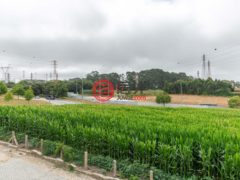 居外网在售葡萄牙MatosinhosMatosinhos的农业用地