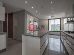 智利SantiagoSantiago的公寓，Charles Hamilton 162246，编号45498976
