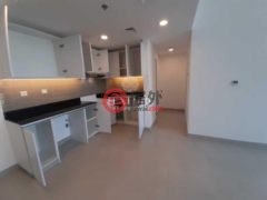 阿联酋迪拜迪拜的公寓，Residence Park，编号65898984