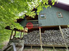 美国密歇根州Michigamme的独栋别墅，23505 Craig Lake，编号78162506