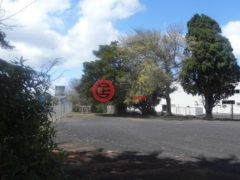 新西兰Auckland Region奥克兰的办公室，编号20061816
