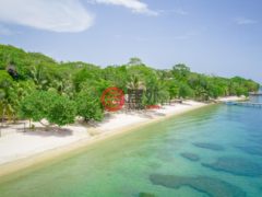 洪都拉斯海湾群岛Roatán的公寓，Oceanfront Condominium D4 Watercolors Resort 1st Floor Building D，编号76763848