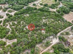 美国德克萨斯州派普克里克的住宅用地，None Lot 41 W Bear Springs RD，编号78324068