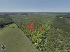 美国密西西比州Purvis的独栋别墅，None 703 AC +/- Purvis to Baxterville Rd.，编号77697984