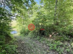 美国印地安那州伊丽莎白敦的住宅用地，None W Cr 750 N，编号77886900