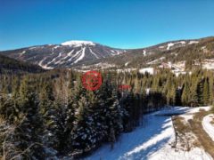 加拿大不列颠哥伦比亚省Sun Peaks的公寓，LOT 7 MCGILLIVRAY LAKE，编号75520857