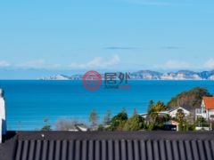 新西兰纳皮尔的独栋别墅，6 Fitzroy Road Bluff Hill，编号77981472