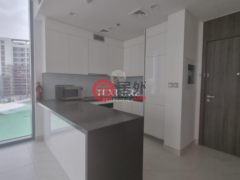阿联酋迪拜迪拜的公寓，The Residences at District One，编号65641314