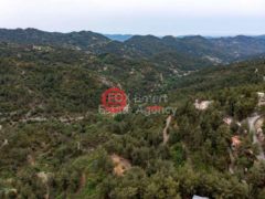 塞浦路斯利马索尔Pelendri的住宅用地，编号77086757