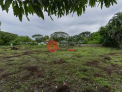哥斯达黎加Nosara的住宅用地，Playa Pelada Nosara，编号78125108