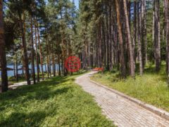 保加利亚Sofia-citySofia的独栋别墅，Pancharevo，编号69866202
