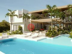 多明尼加La Altagracia ProvincePunta Cana的公寓，Punta Cana，编号78029100