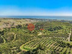 美国加州戈拉塔的公寓，100 N Dos Pueblos Canyon Road，编号77248685