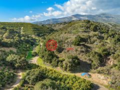 美国加州戈拉塔的公寓，100 N Dos Pueblos Canyon Road，编号77248685
