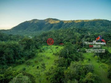 Exquisite Eco-Friendly Hosting & Research Property on Hummingbird Highway